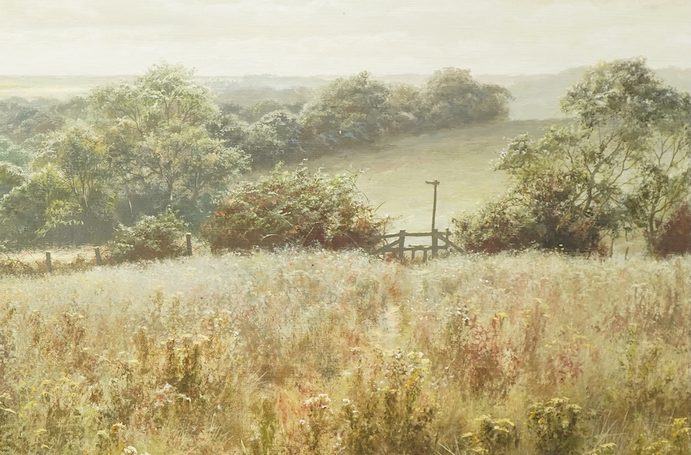 David Dipnall (1941-2023), Wild Meadow landscape